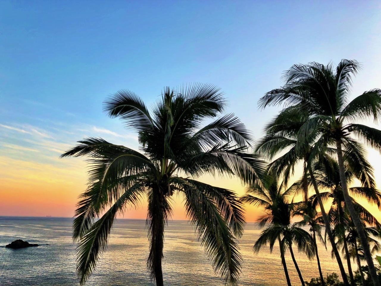 Palm Sunset Silhouette